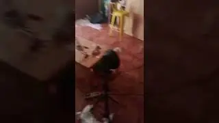 House tour de SS Conexi&oacute;n. LA CASA DE SIMON P&Eacute;REZ Y SILVIA CHARRO LA CHUSA