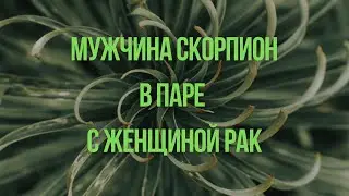 МУЖЧИНА СКОРПИОН ♏️ В ПАРЕ С ЖЕНЩИНОЙ РАК ♋️ПЛЮСЫ И МИНУСЫ