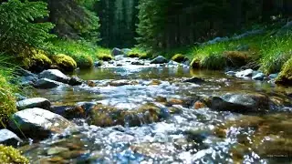 River Flowing, Tranquil Forest Soundscape for Sleeping and Relax