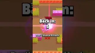 Rank 30 Bibi Guide