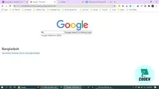 Google Search Page Design With HTML CSS JavaScript   DScode2