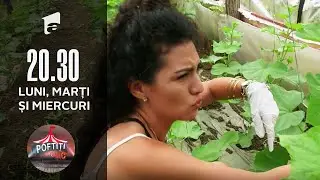 Poftiți la circ | Muncă grea la seră! Ce vedetă s-a umplut de păduchi