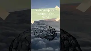 #неврология #психология #саморазвитие #education #дети #мозг #развитиемозга #brain