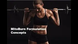 MitoBurn Formulatin Concepts