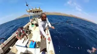 Deep drop fishing - pesca de fanhama (garopa madera)