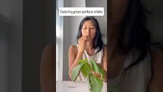 Exploring the Asian herb green perilla or shiso