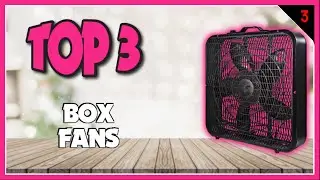 Best Box Fans In 2023