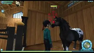Buying an old horse... MISTAKE