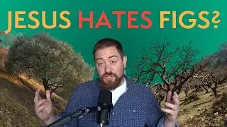 All Leaves and No Substance | The Fig Tree and The Triumphal Entry