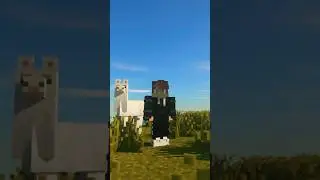 Trying to Make a Video Then This Happens