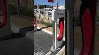 Экологичный транспорт в Израиле, развитие электромобилей и зарядок