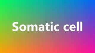 Somatic cell - Medical Meaning and Pronunciation