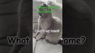 Idkq