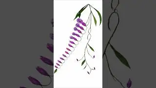 🌸 Purple Wisteria | Relaxing Flower Painting Timelapse                               #art #flowers