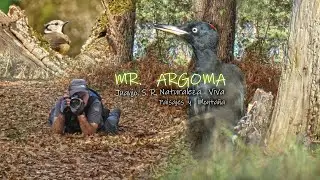 FOTOGRAF&Iacute;A DE NATURALEZA I. 