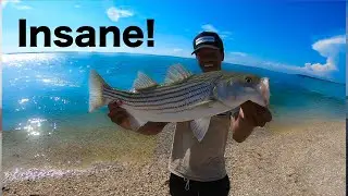 Inshore Saltwater SLAM Fishing UNTOUCHED Water - Striped Bass, BlueFish, Porgy, Fluke, and ROBBINS
