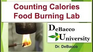 Counting Calories - Food Burning Lab