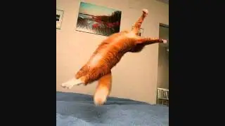 Weee! (Original Mix)