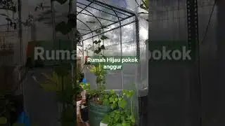 Rumah Hijau bandar