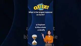 🧠 Quiz Spectacle: 5 Rounds of Brainy Entertainment! 🎬 #QuizTime  #BrainTeasers #ChallengeAccepted