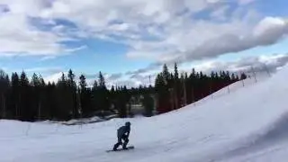 sled follows