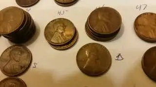 My first 1943 walking liberty!!! Visit to the coin shop