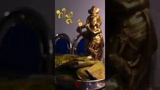 vishu ada🏵 #youtube #vishu #trending #traditional #shorts