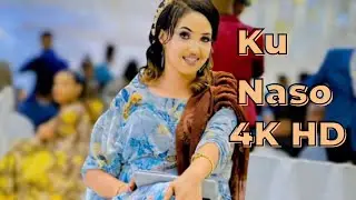 Xasan Aadan Samatar - Lulumaha Biyaha Gala (Official Video) Ft. Hollywood 2023