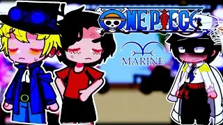 ONE PIECE MARINE AU REACT TO ✨️🏴‍☠️ II 3/?II