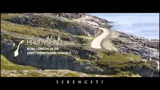 SERENGETI PHOTOCHROMIC DRIVING LENSES