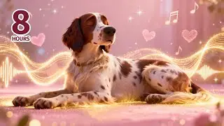 Healing Fields of Light - Original Healing Music for Dogs & Humans 🌸