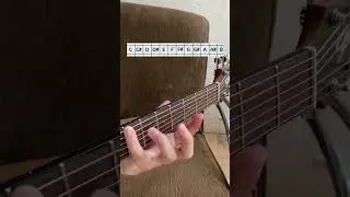 Escala crom&aacute;tica (viol&atilde;o)