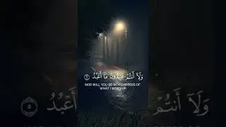 Surah Al-Kahf | A Light Between Two Fridays 🕊️#Quran#Islam #FridayReminder#QuranRecitation#shorts