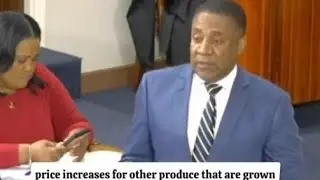 Phillip Paulwell BLAST Juliet Holness and Warmington In Parliament 🇯🇲
