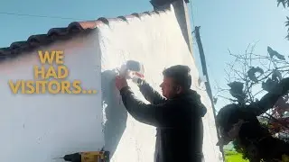 Nous avons surpris des intrus dans notre ferme portugaise