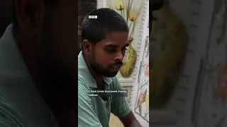 Inside India's biggest carpet hub hit by Trump's steep tariffs | BBC News India
