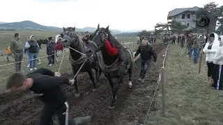 - GRBOVIĆ SA BISEROM I CIGOM SRUŠIO TEŠKAŠE NA ZLATIBORU 2025-