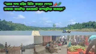 আজ শশা ও মরিচ বিক্রি করলাম কলাবুনিয়া বাজারে| পাহাড়ের চাকমা-বাঙালির জমজমাট বাজার 🌿