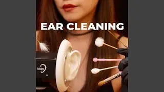 Bamboo Ear Picks