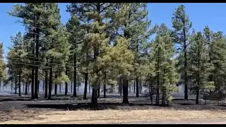Apache County leaders working to prevent future wildfires