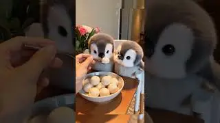 Cute Baby Penguins Eating Boiled Eggs &ndash; Adorable Snack Time! #trendingnow #fyp #viralvideo