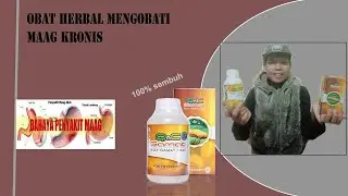 Testimoni Kesembuhan Dari Penyakit Maag Kronis Dengan Qnc Jelly Gamat