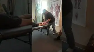 4 Basic Bodywork Techniques (PLEC) - NCSAB