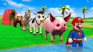 Long Slide Game with Cow Elephant Gorilla Hippopotamus Tiger 3d Animal Game Funny 3d Animals