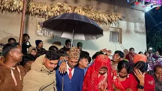 Half bihea vlog ho  ful