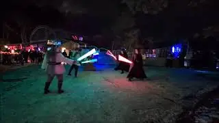 Zoo Lights Saber Flow