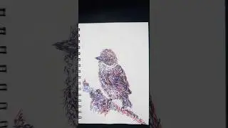 Abstract Bird drawn out with both my hands #abstract #art #fyp #drawing #birds #nature