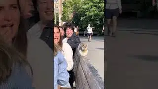 Woman Eating French Fry With Squirrel