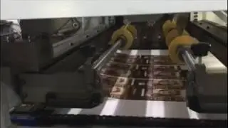 Automatic Foil stamping & die cutting machine to make carton box