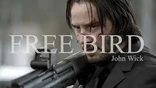 John Wick - Free Bird